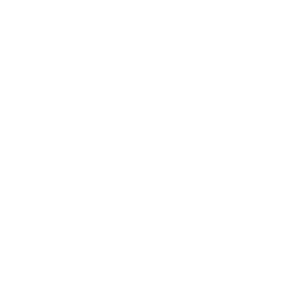 trusted-it-firm